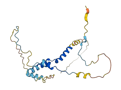PPP1R2P1 3D structure