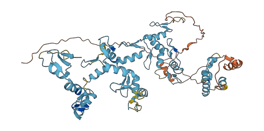 ZNF317 3D structure