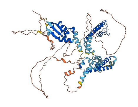 KCNC2 3D structure