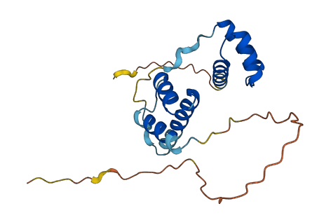 DUX5 3D structure