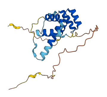 DUX3 3D structure
