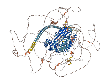 SYNGAP1 3D structure