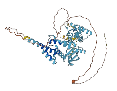 PNMA5 3D structure