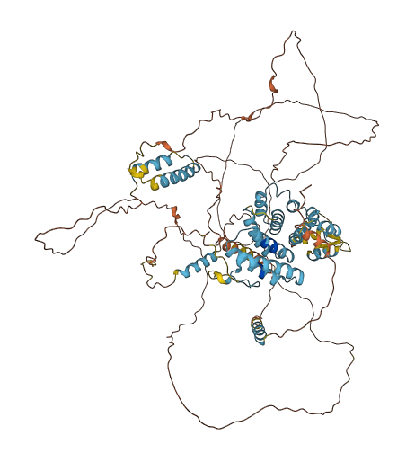 LENG8 3D structure