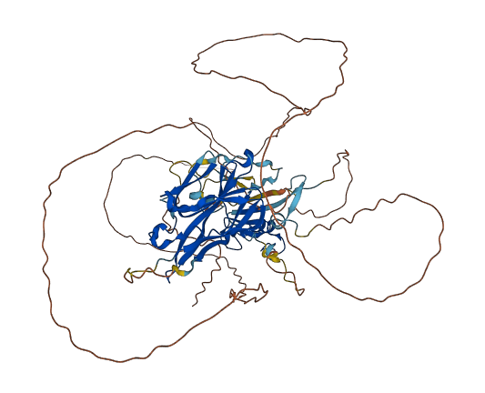 RNF157 3D structure