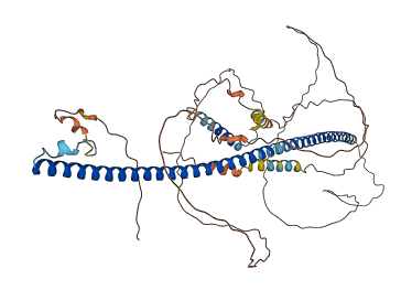CCDC85A 3D structure