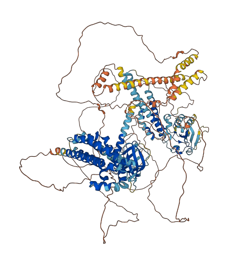 PLEKHG4B 3D structure