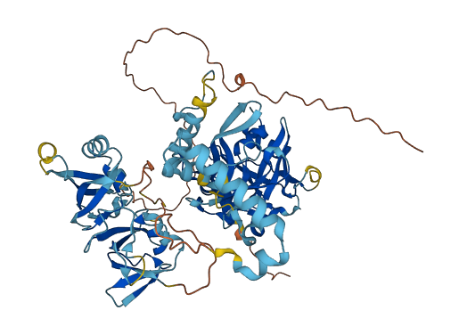 FAM111A 3D structure