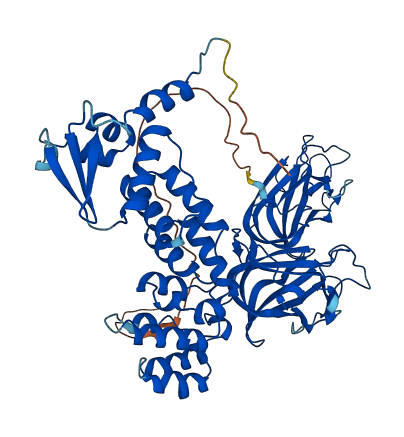 BTBD9 3D structure