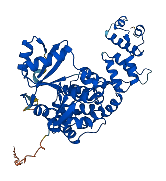 TRNT1 3D structure