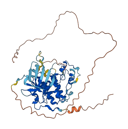 CDK15 3D structure
