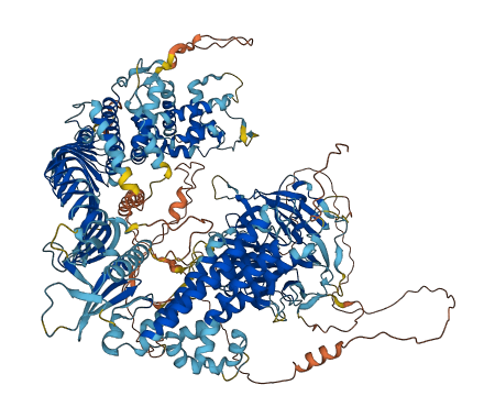 ALS2 3D structure