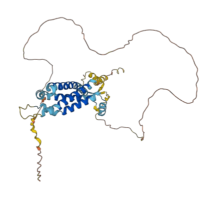 TMEM237 3D structure