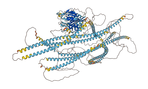 KIF20B 3D structure