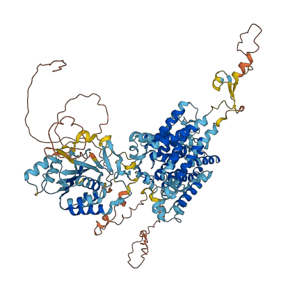 SLC4A9 3D structure