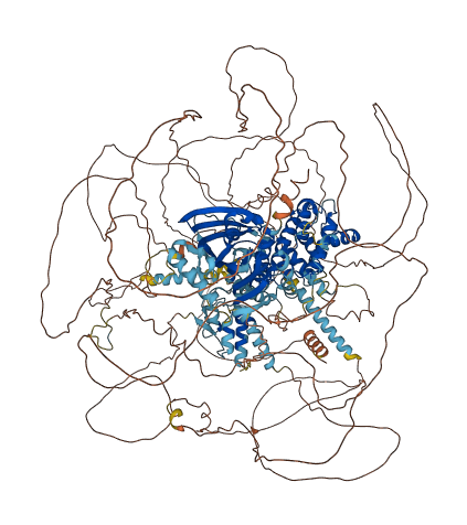 DLC1 3D structure