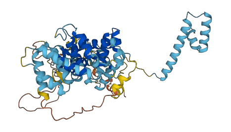 DEPDC7 3D structure