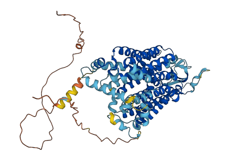 SLC2A13 3D structure