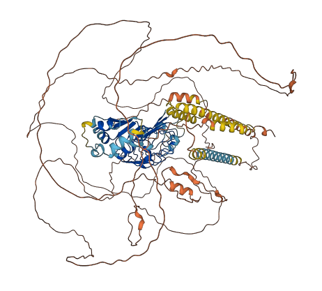 LRRC37B 3D structure