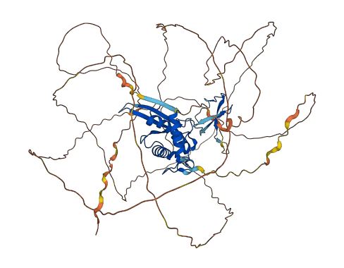 GCNA 3D structure