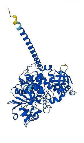 MTMR9 3D structure