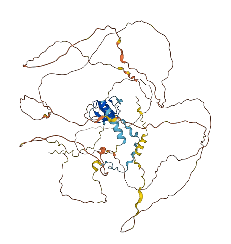 PRAM1 3D structure