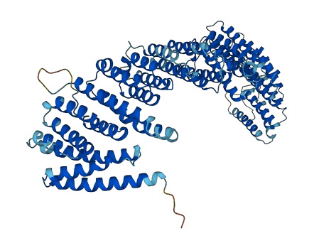 VPS35 3D structure