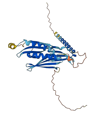 PURB 3D structure