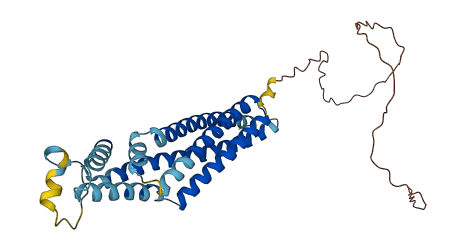 TSPAN32 3D structure