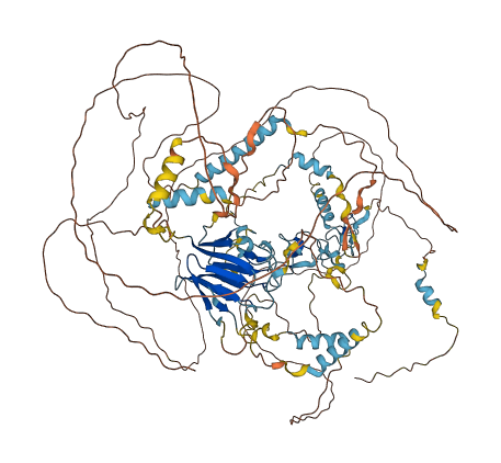 PHF12 3D structure