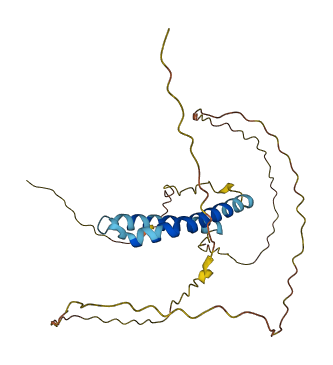 FRG2B 3D structure