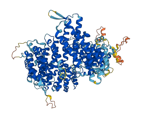 XPO6 3D structure