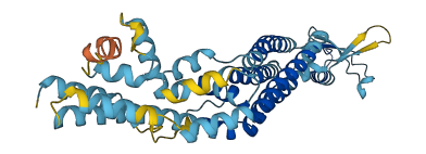 PANX3 3D structure