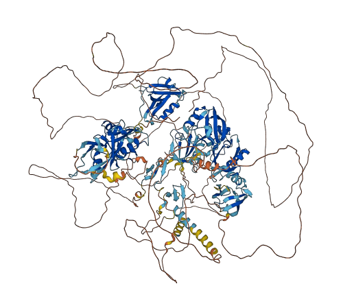 MAGI1 3D structure