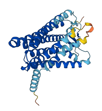 OR5B12 3D structure