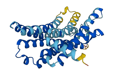 OR2M4 3D structure