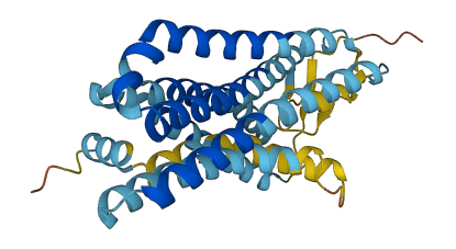 OR2A7 3D structure