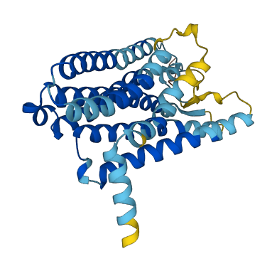 OR2A14 3D structure