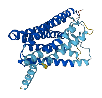 OR2A5 3D structure