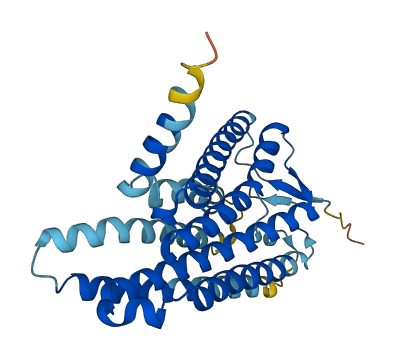 OR14A2 3D structure