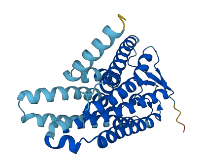 OR4C12 3D structure