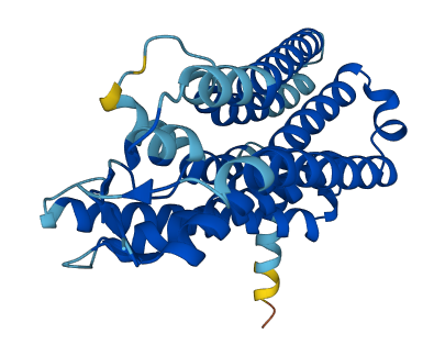 OR4F4 3D structure