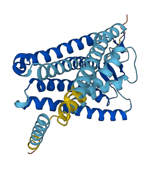 OR4K3 3D structure