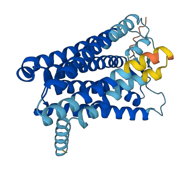 OR7D2 3D structure