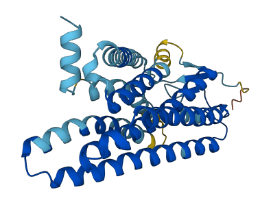 OR5M11 3D structure