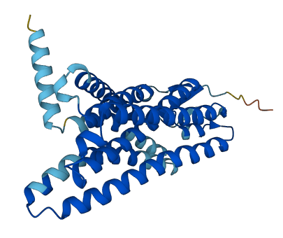 OR8B2 3D structure