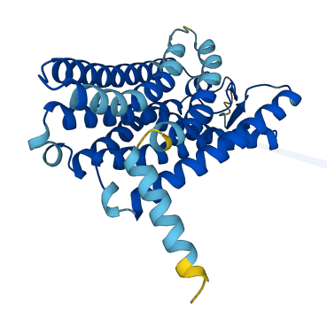OR6C1 3D structure