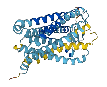 OR52E6 3D structure