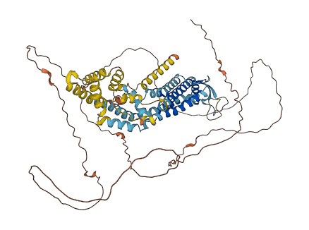 PANX2 3D structure