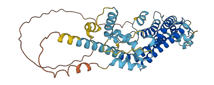 PANX1 3D structure